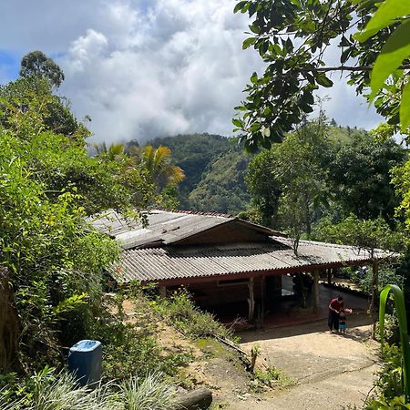 Omi Relax Inn 埃拉 外观 照片